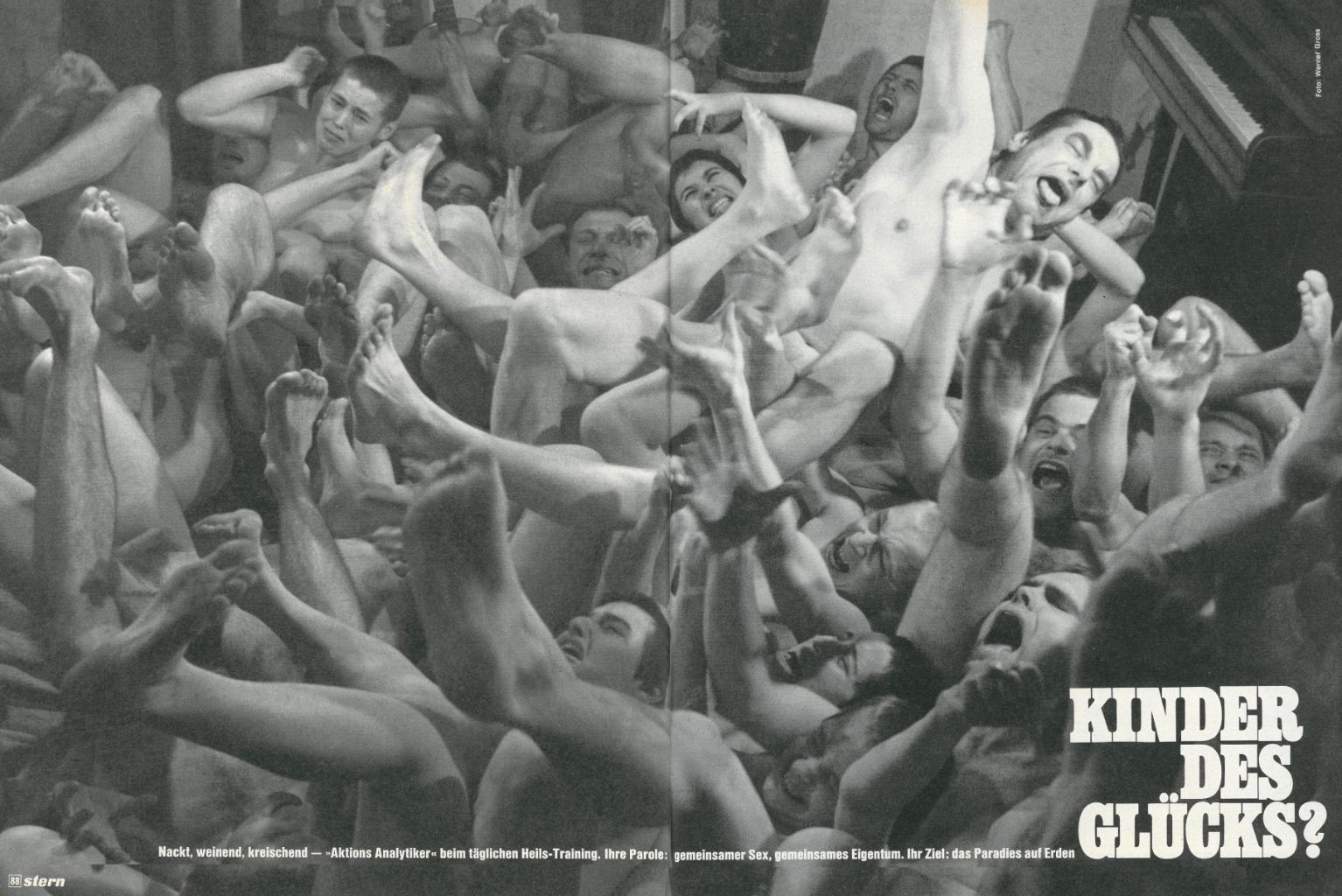 article picture