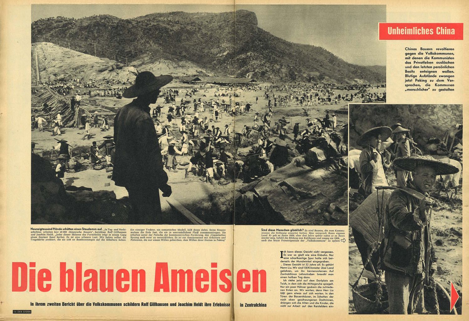 article picture