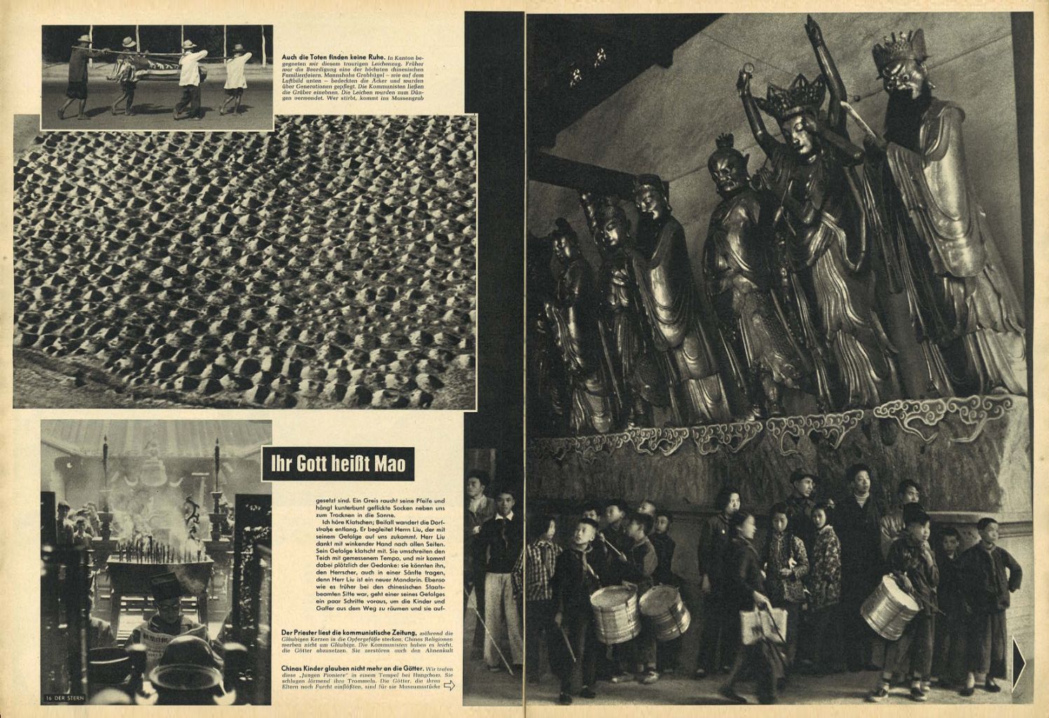 article picture
