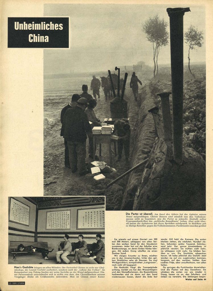 article picture