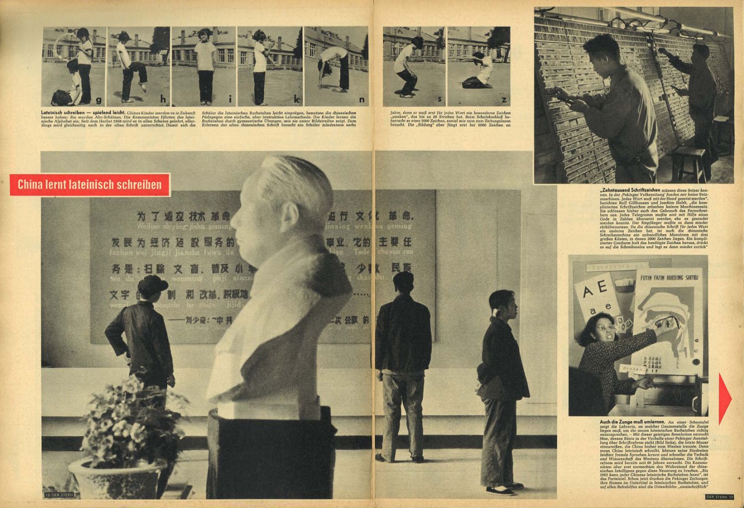 article picture