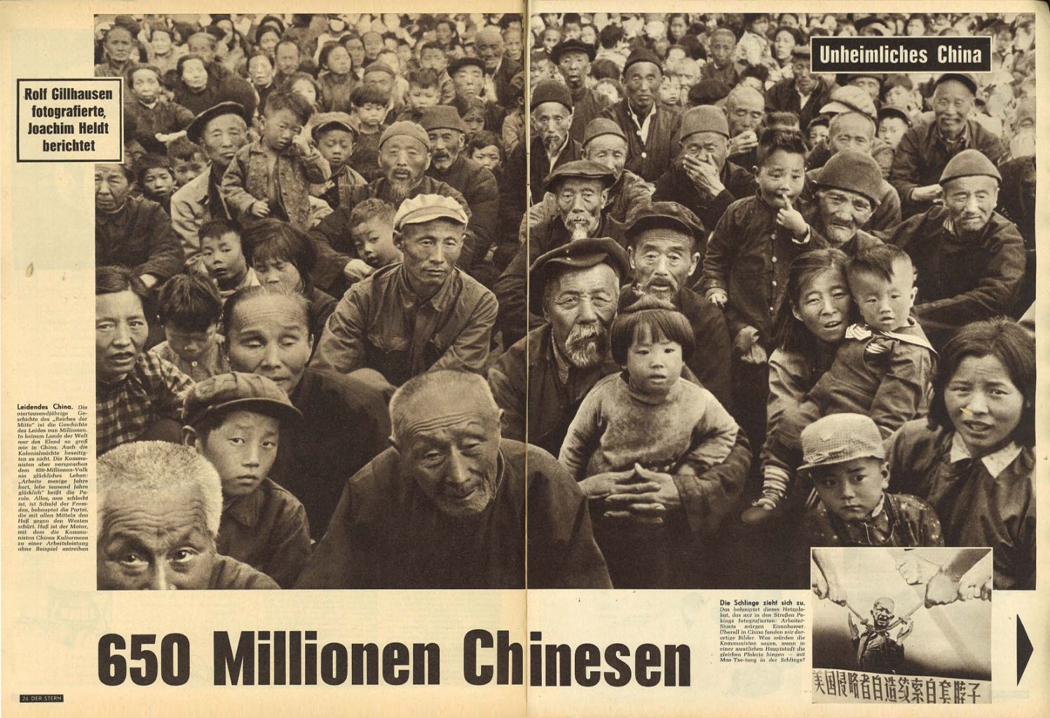 article picture