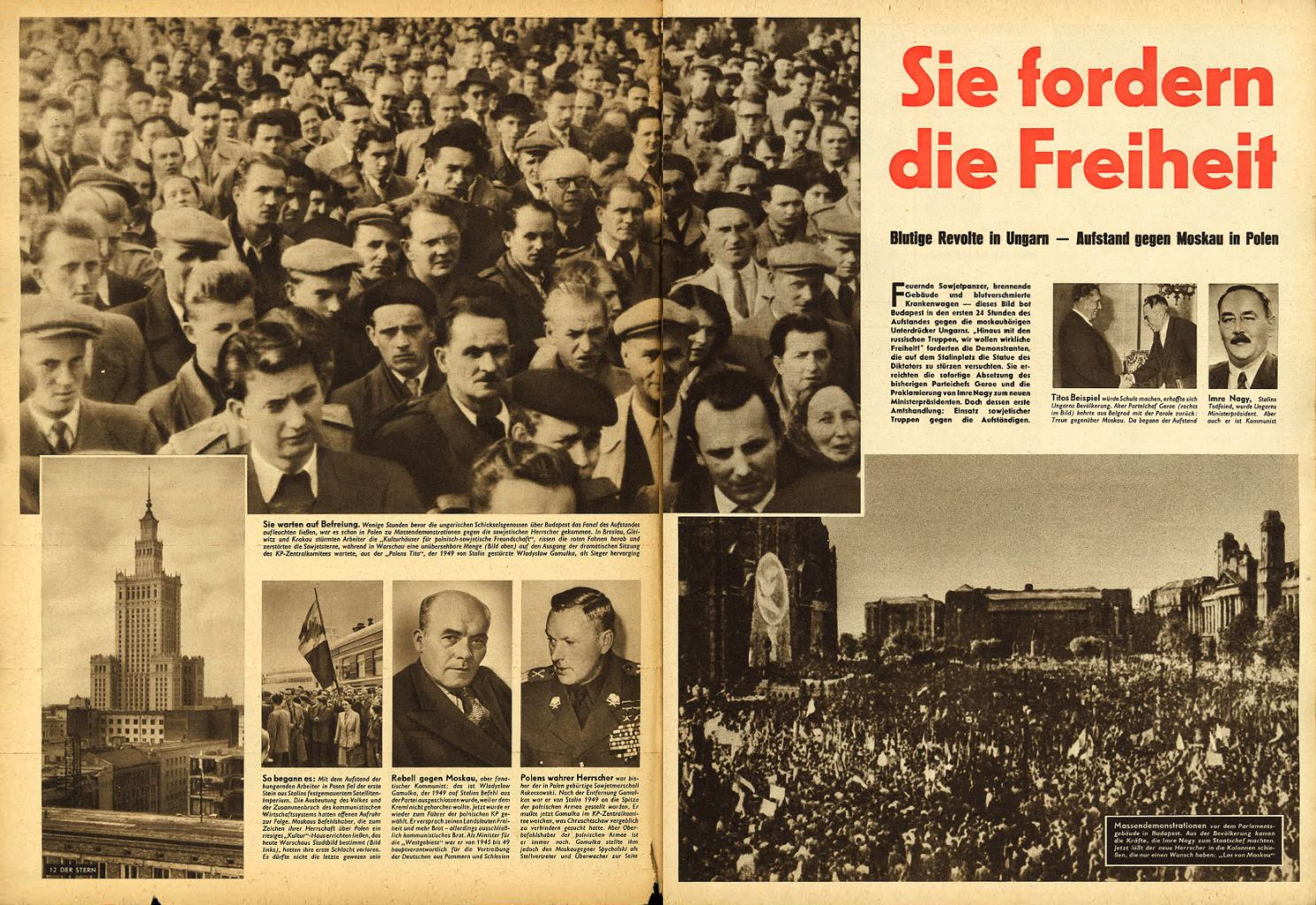 article picture
