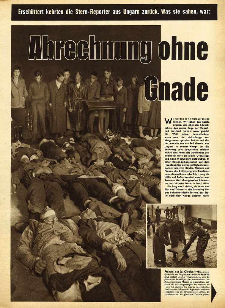 article picture