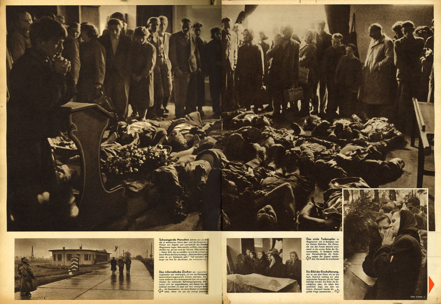 article picture