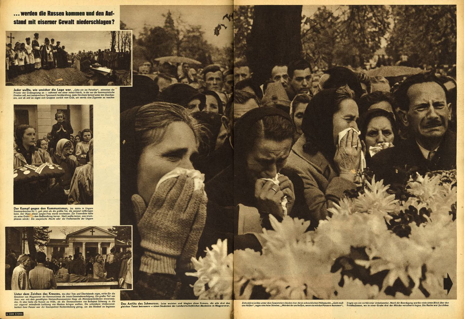 article picture