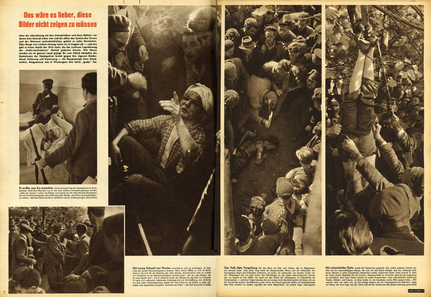 article picture