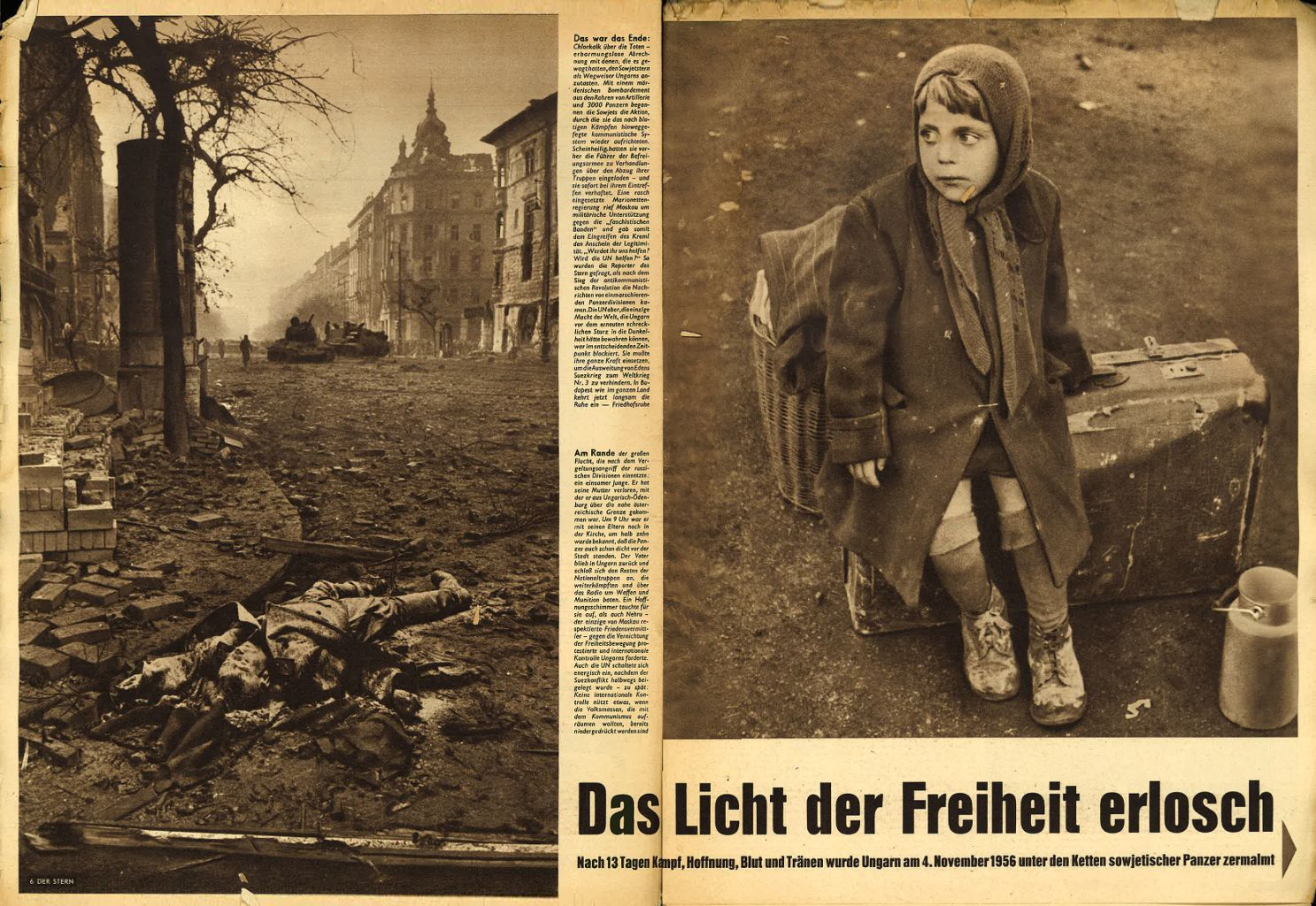 article picture