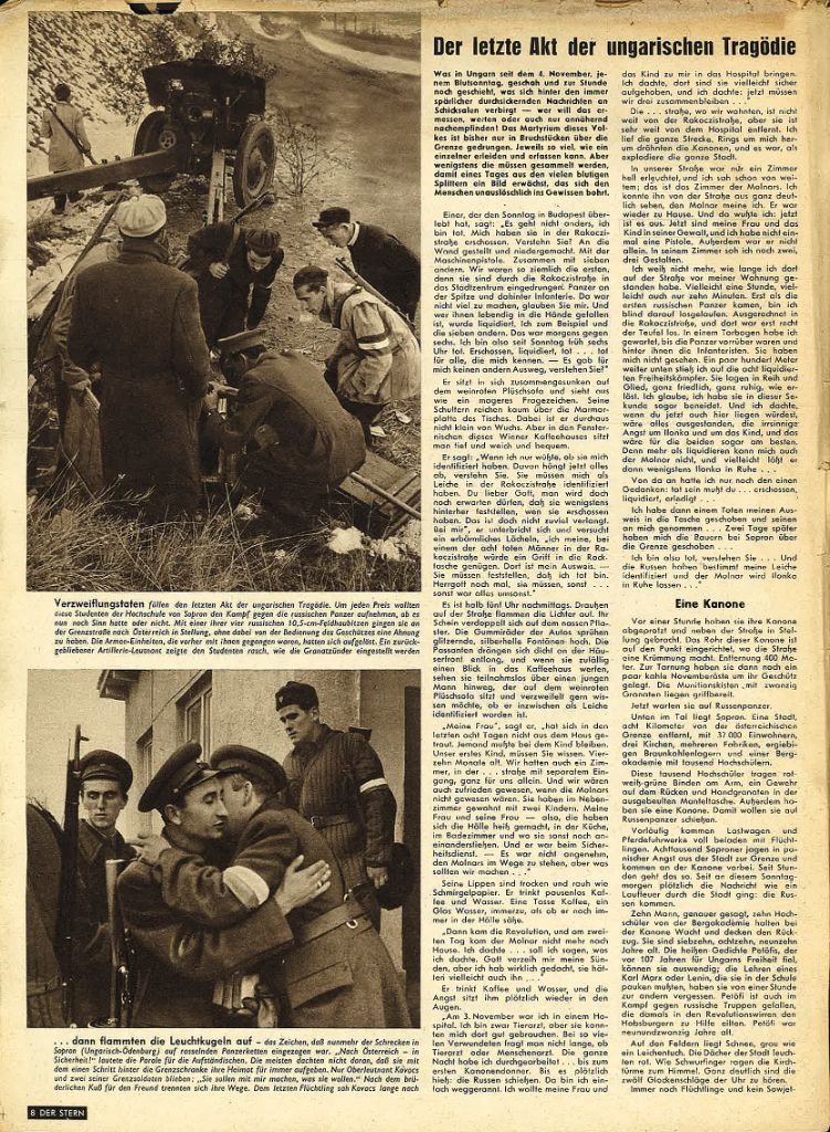 article picture