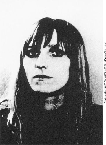 article picture