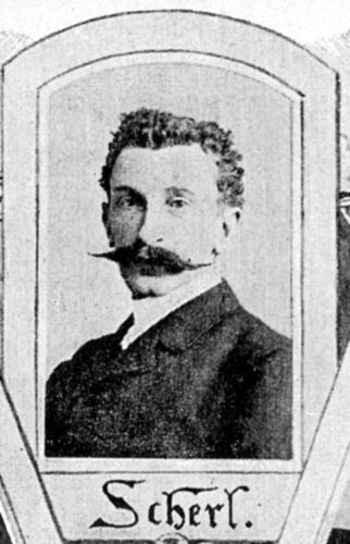 article picture