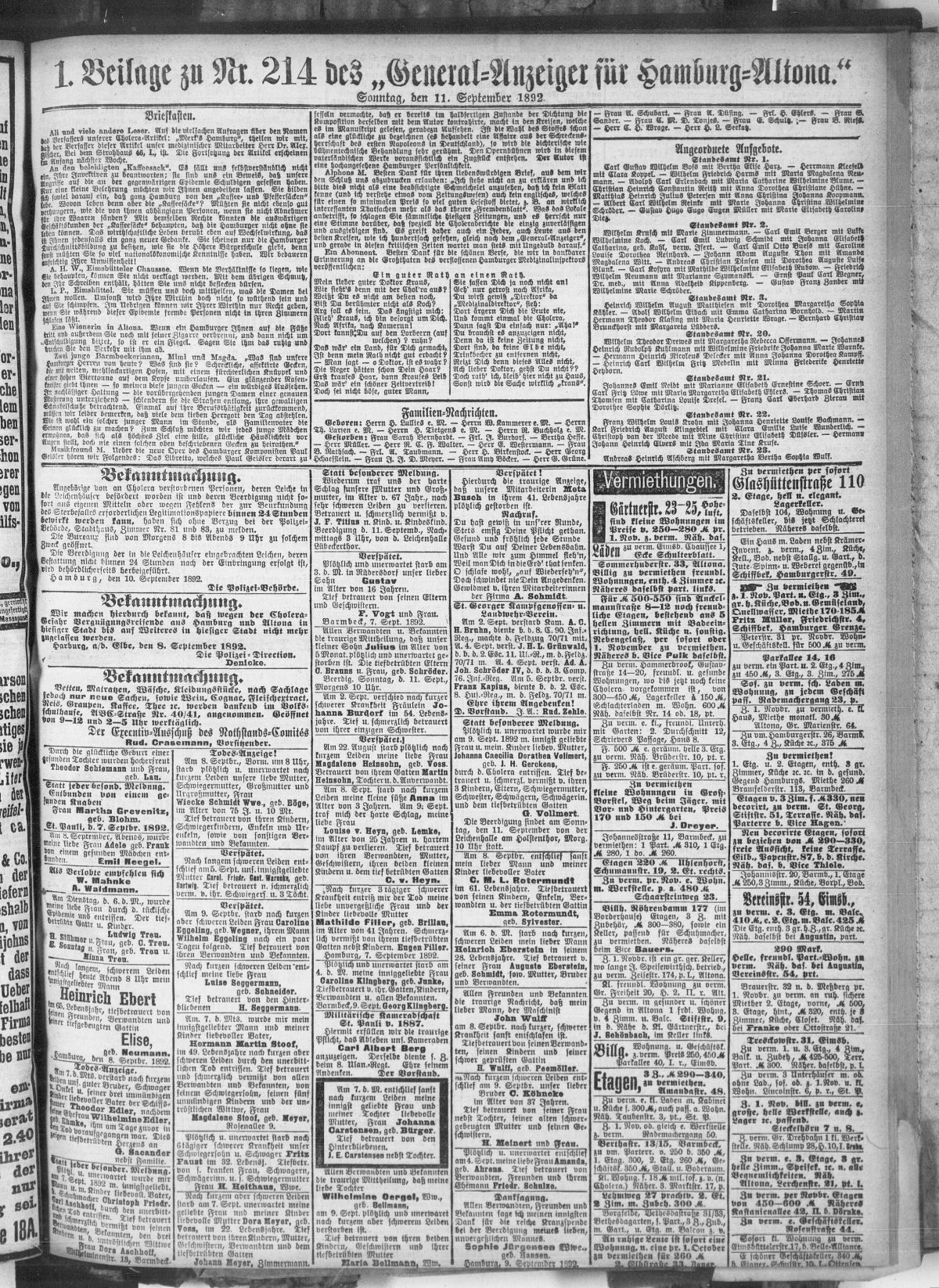 article picture