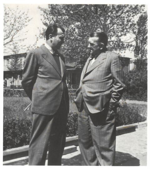 article picture