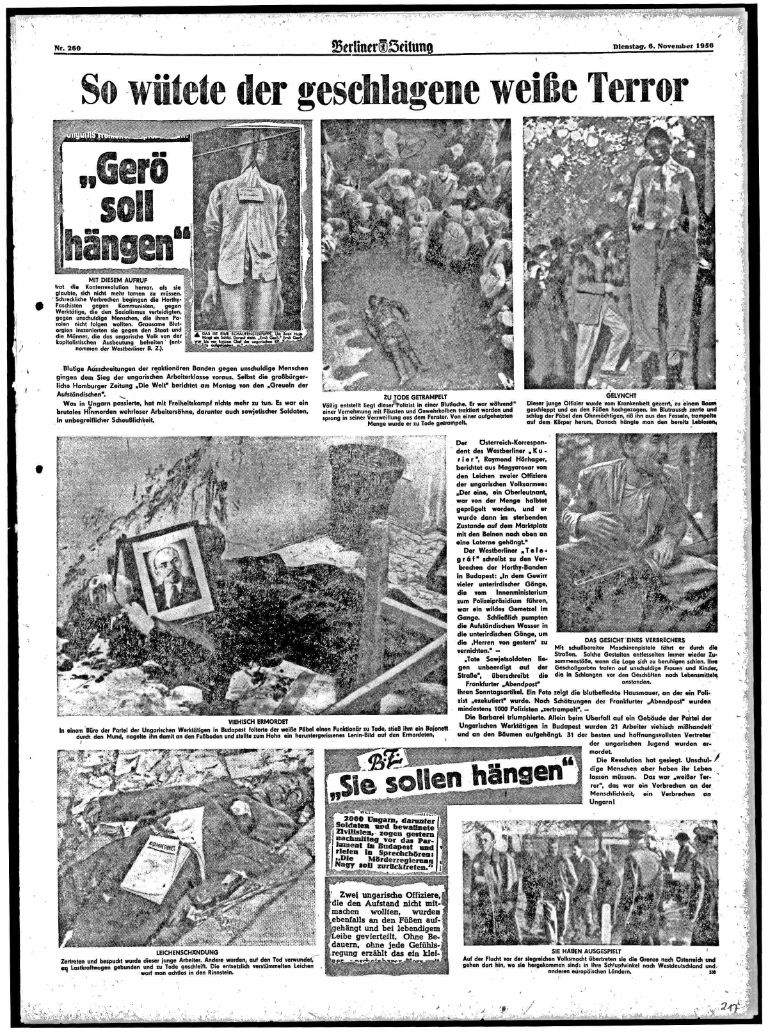 article picture