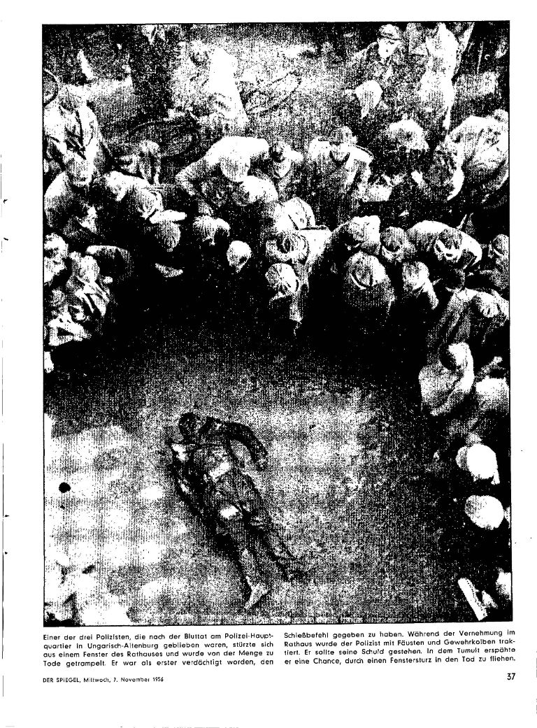 article picture