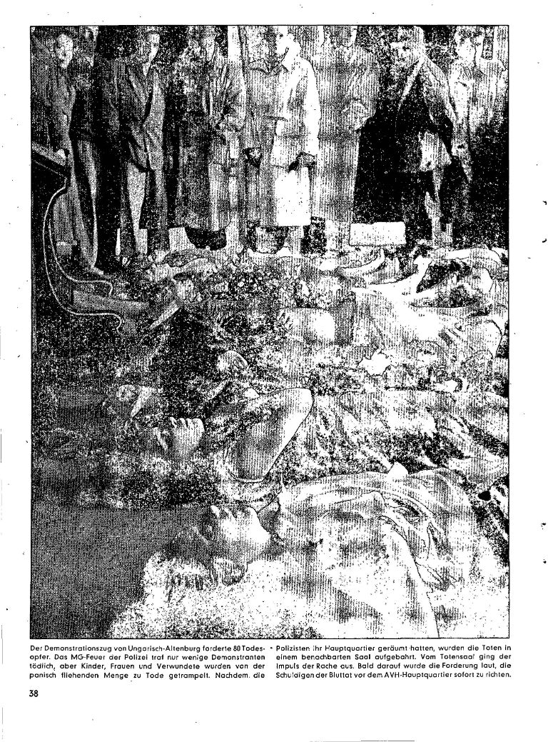 article picture