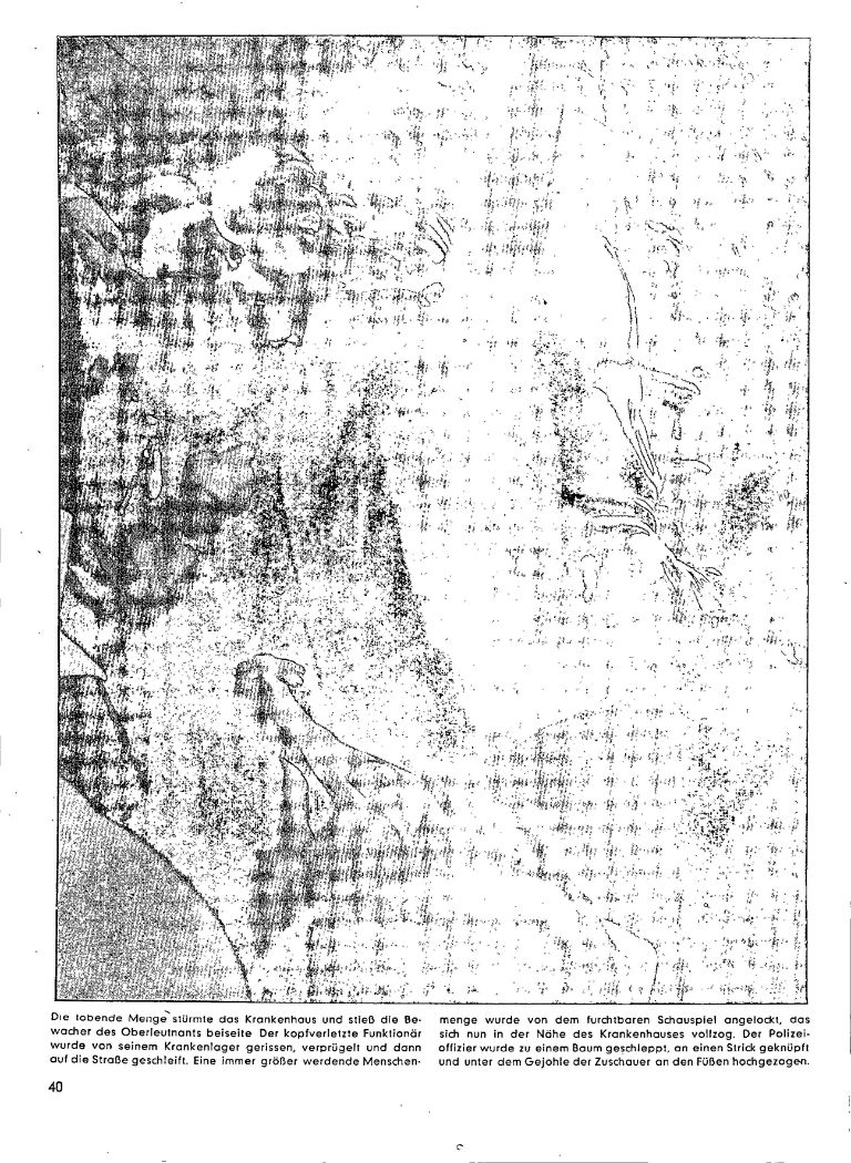 article picture