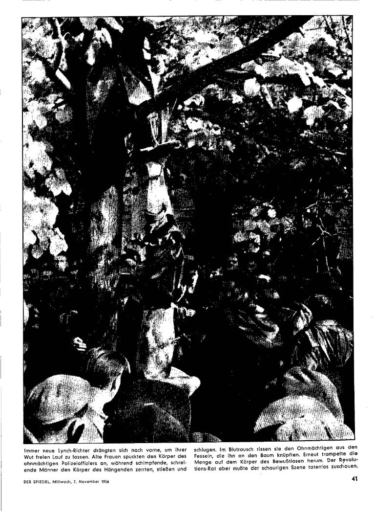 article picture