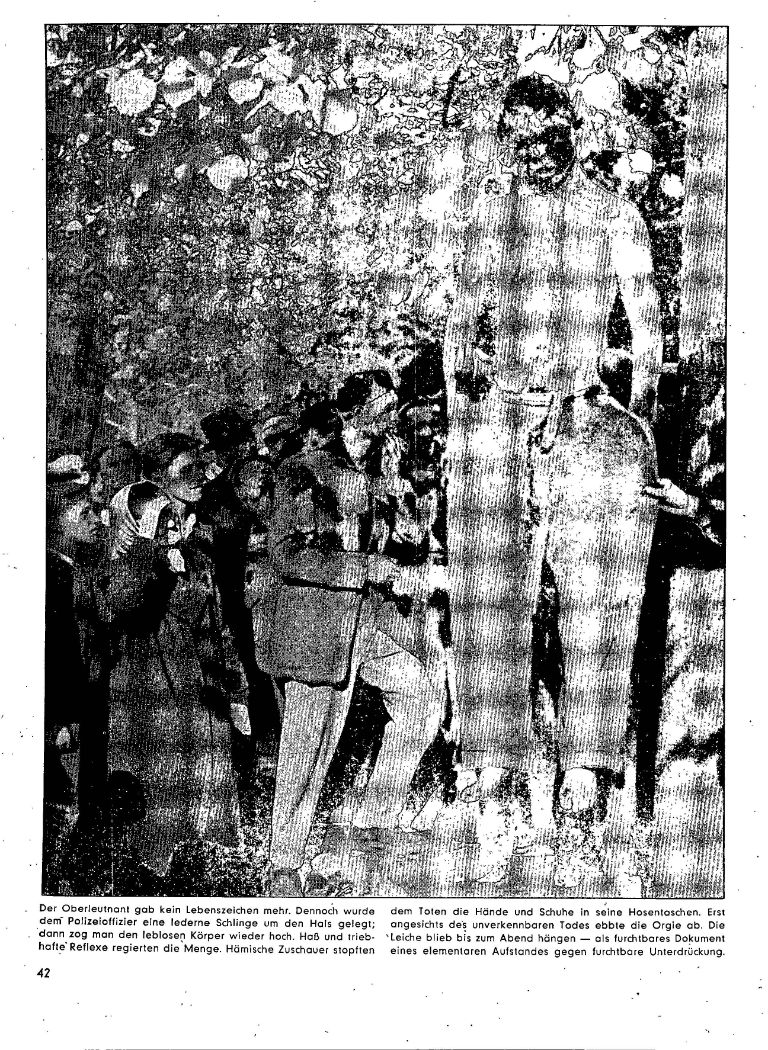 article picture