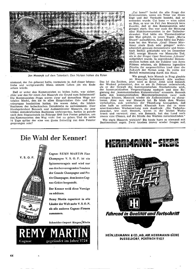 article picture