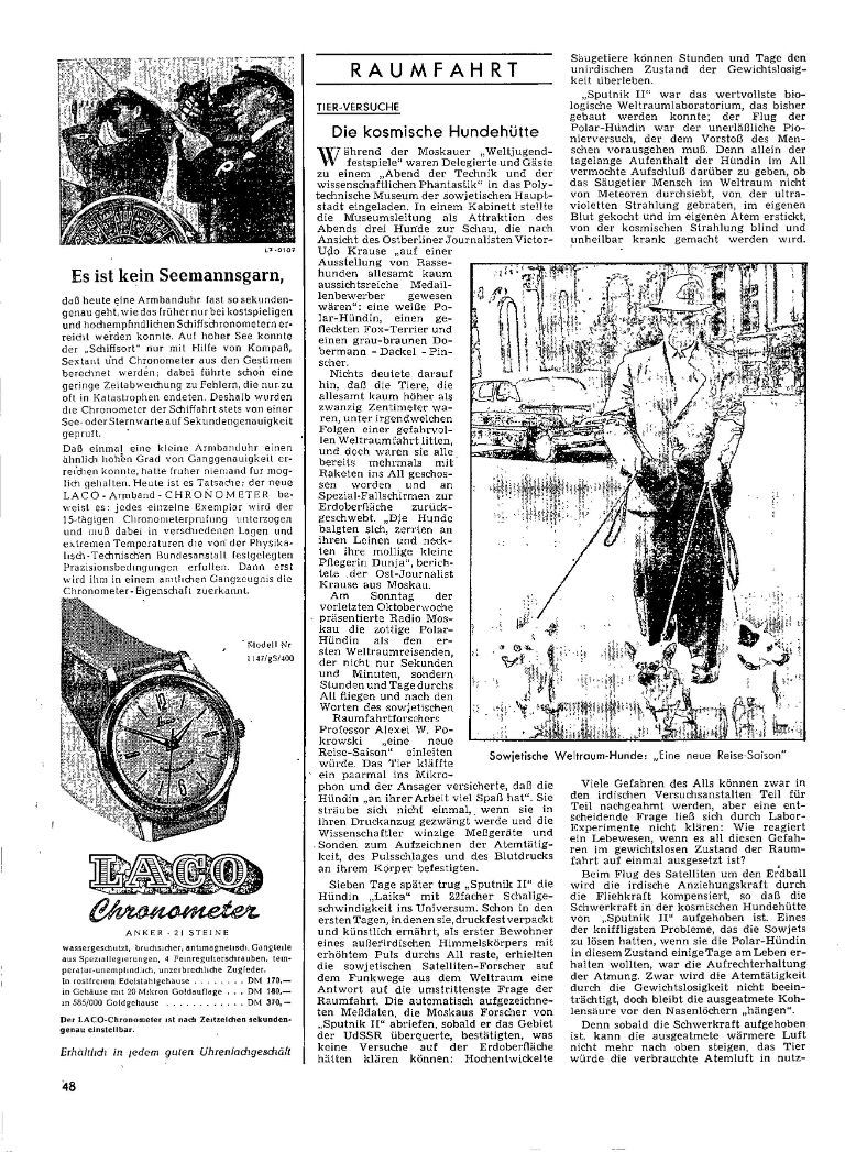 article picture