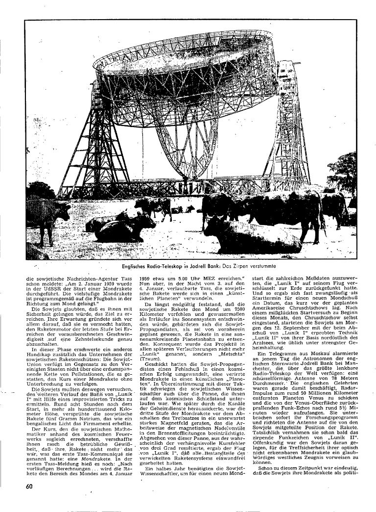 article picture