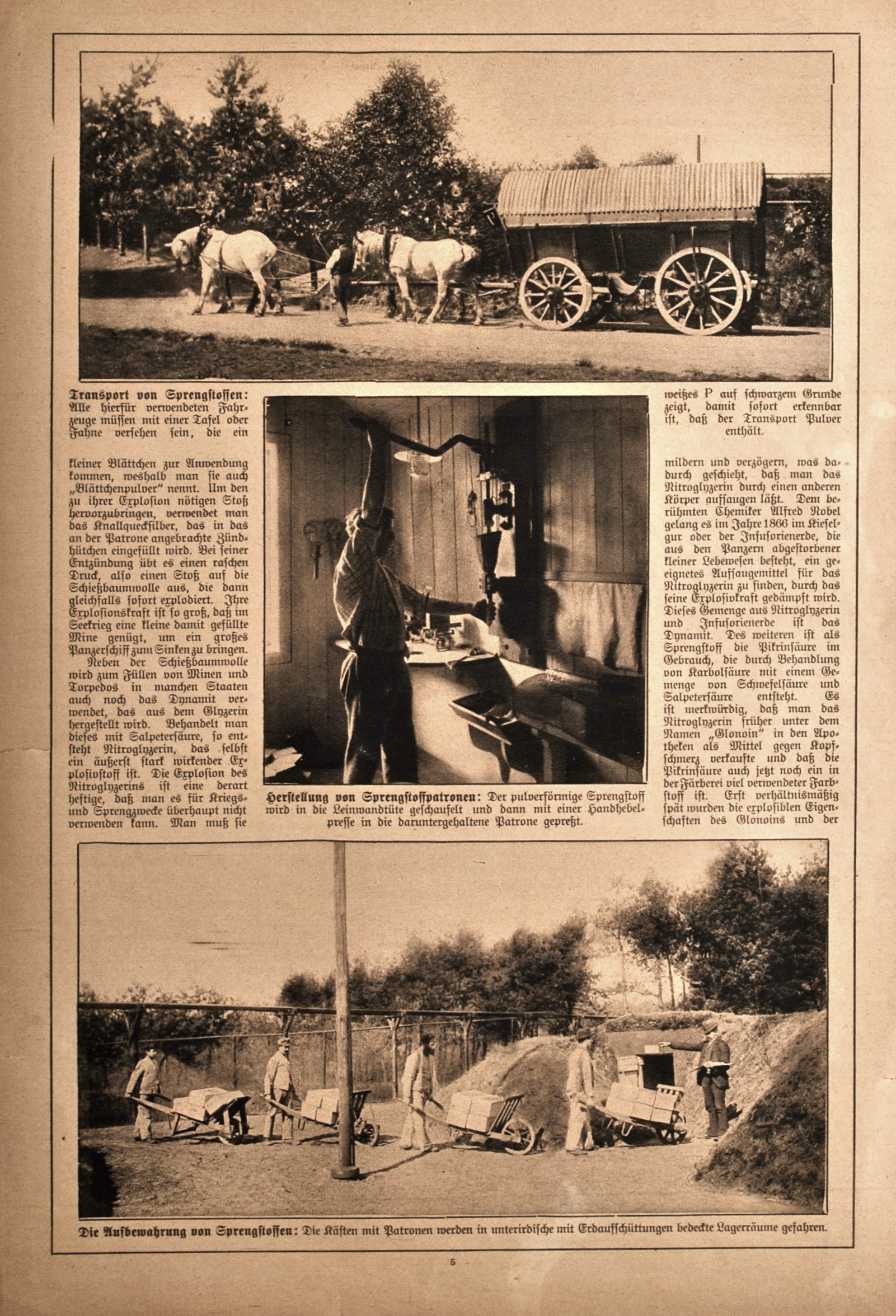 article picture